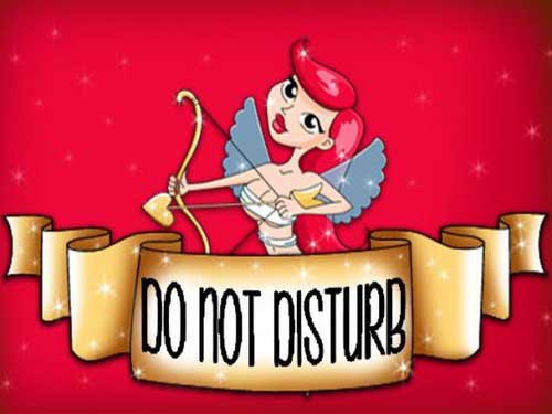 Do not Disturb Game Logo