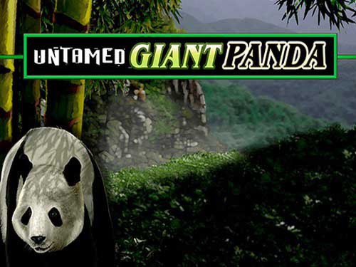 Untamed Giant Panda Game Logo